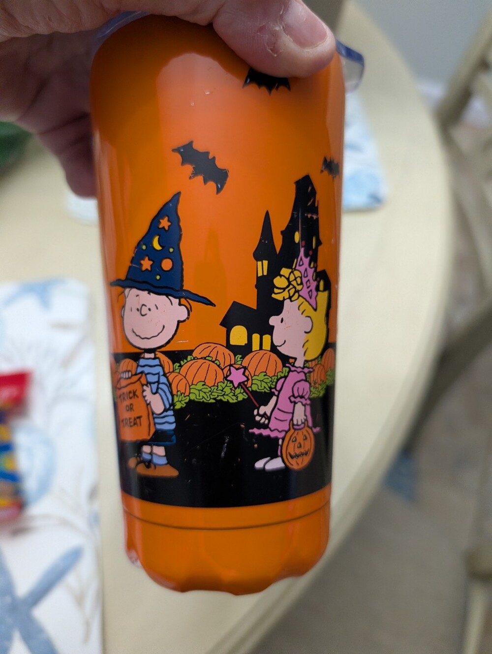 Peanuts Halloween Snoopy And Friends Trick-or-Treat Costume Halloween Metal